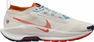 Scarpe per sentieri Nike Pegasus Trail 5 GORE-TEX