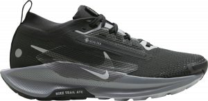 Scarpe per sentieri Nike Pegasus Trail 5 GORE-TEX