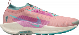 Scarpe per sentieri Nike Pegasus Trail 5 GORE-TEX