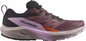 Scarpe per sentieri Salomon SENSE RIDE 5 GTX W