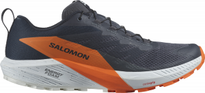 Scarpe per sentieri Salomon SENSE RIDE 5 GTX