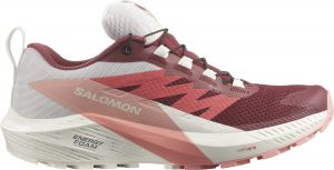 Scarpe per sentieri Salomon SENSE RIDE 5 GTX W