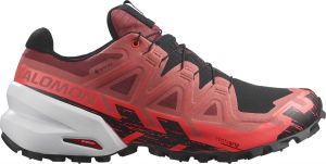 Scarpe per sentieri Salomon SPIKECROSS 6 GTX