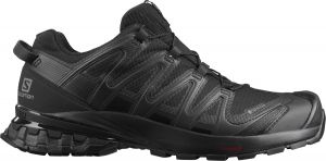 Scarpe per sentieri Salomon XA PRO 3D v8 GTX W