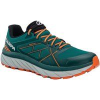 Scarpe da running da uomo SCARPA Spin Infinity GTX |  Scarpa