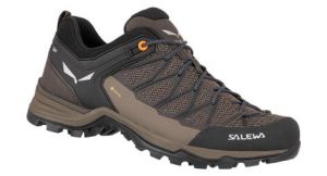 Salewa Mtn Trainer Lite GTX - uomo