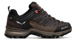 Salewa MTN Trainer Lite GTX - donna