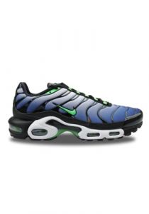 Nike Air Max Plus Scarpe Uomo