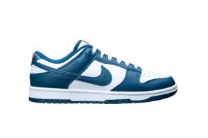 Nike Dunk Low Retro Trainers EU 42 1/2