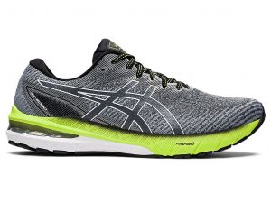 Asic 2000 gt online