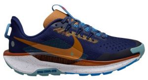 Nike Pegasus Trail 5 - uomo - blu