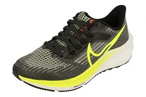 NIKE Air Zoom Pegasus 39