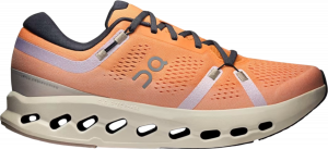 Scarpe da On Running Cloudsurfer 2