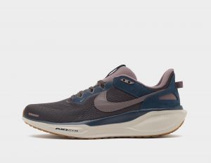 Nike Pegasus 41, Brown