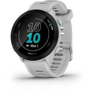 Garmin Forerunner 55 (Whitestone)