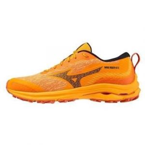 Scarpa running uomo Mizuno Wave Rider Gtx |  Mizuno