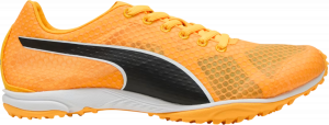 Scarpe da atletica Puma evoSPEED Haraka 8 Spikeless