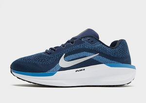 Nike Winflo 11, Blue