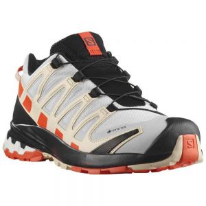 Salomon Xa Pro 3d V8 Goretex Trail Running Shoes Grigio Donna