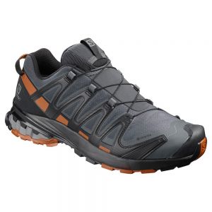 Salomon Xa Pro 3d V8 Goretex Trail Running Shoes Grigio Uomo