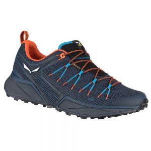 Salewa Dropline Goretex Hiking Shoes Blu Uomo