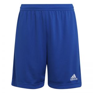 Short Adidas Entrada 22 Jr Blue (Colore: Royblu, Taglia: 11-12Y)