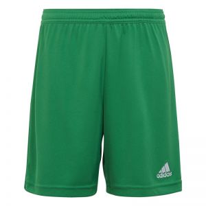 Short Adidas Entrada 22 Jr Tea Green (Colore: Teagrn, Taglia: 11-12Y)